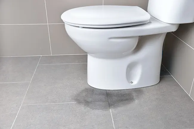 The Ultimate Guide to Choosing the Perfect New Toilet for Your Home